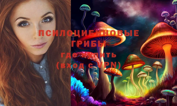 mix Сковородино