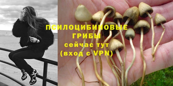 эйфоретик Лабытнанги