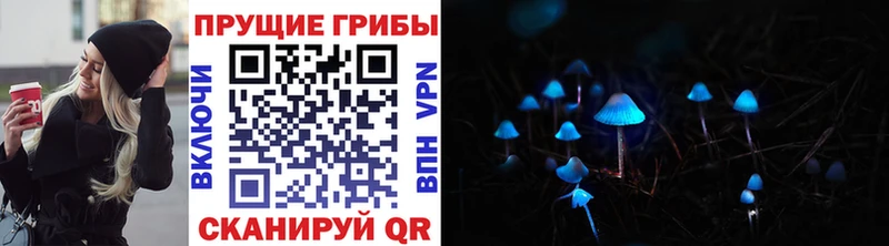 где продают   Ступино  Псилоцибиновые грибы Magic Shrooms 