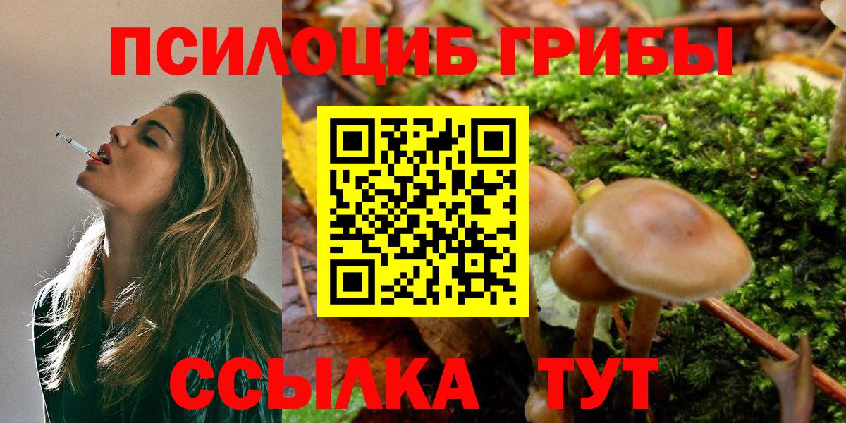Ступино  Галлюциногенные грибы мицелий  Вход с VPN 