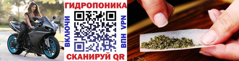мега сайт  Ступино  Шишки марихуана гибрид  сколько стоит 